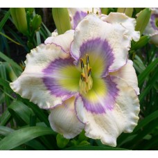 OCEAN ETUDE OCEAN ETUDE