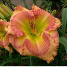 WHEN YOU’RE SMILING