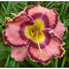 CLOWNS CAN’T DANCE CLOWNS CAN’T DANCE