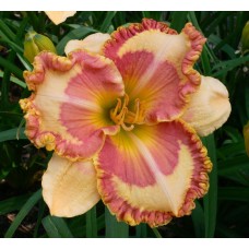 CLOWNING ACHIEVEMENT 