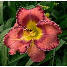 THE CARPENTER’S TOUCH 