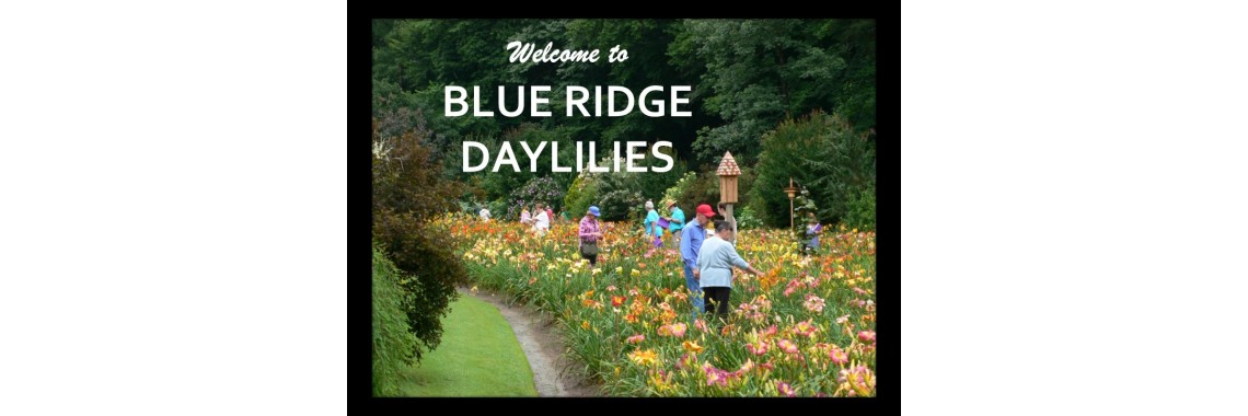 Home Page Slideshow 3