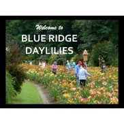 Home Page Slideshow 3