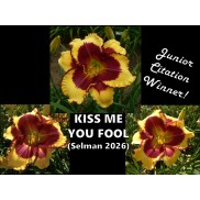 Kiss Me You Fool