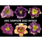 Eric 2022