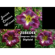 Zebedee