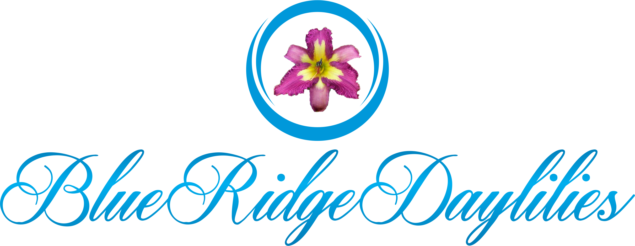 The Daylilies of Robert Selman at Blue Ridge Daylilies